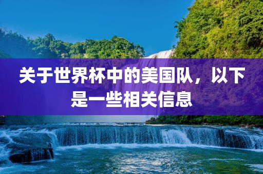 关于世界杯中的美国队，以下是一些相关信息