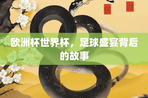 欧洲杯世界杯，足球盛宴背后的故事