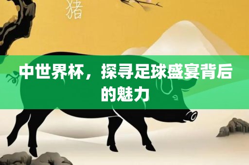 中世界杯，探寻足球盛宴背后的魅力