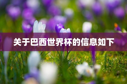 关于巴西世界杯的信息如下