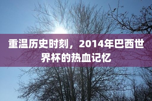 重温历史时刻，2014年巴西世界杯的热血记忆