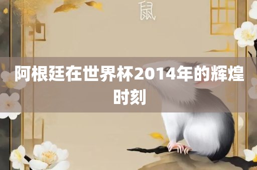 阿根廷在世界杯2014年的辉煌时刻