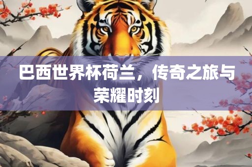 巴西世界杯荷兰，传奇之旅与荣耀时刻