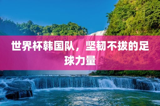 世界杯韩国队，坚韧不拔的足球力量