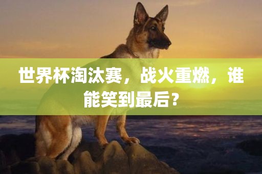 世界杯淘汰赛，战火重燃，谁能笑到最后？