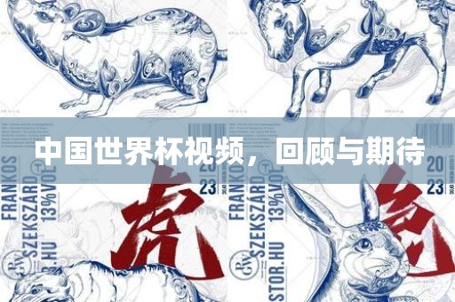 中国世界杯视频，回顾与期待