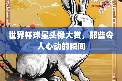 世界杯球星头像大赏，那些令人心动的瞬间