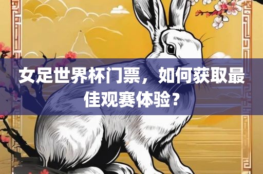 女足世界杯门票，如何获取最佳观赛体验？