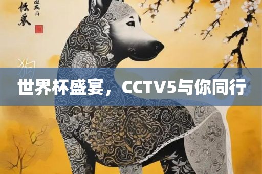 世界杯盛宴，CCTV5与你同行
