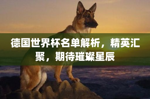 德国世界杯名单解析，精英汇聚，期待璀璨星辰