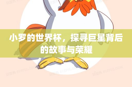 小罗的世界杯，探寻巨星背后的故事与荣耀