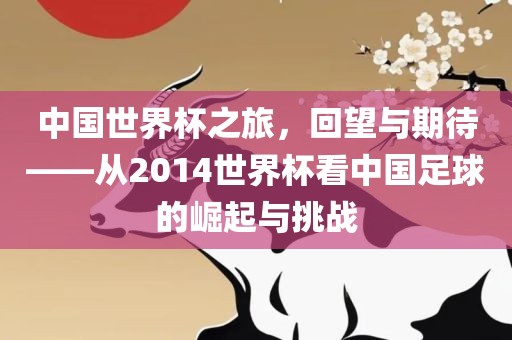 中国世界杯之旅，回望与期待——从2014世界杯看中国足球的崛起与挑战