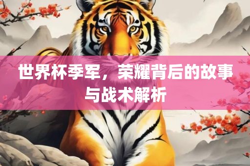 世界杯季军，荣耀背后的故事与战术解析