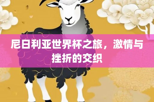 尼日利亚世界杯之旅，激情与挫折的交织