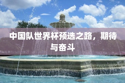 中国队世界杯预选之路，期待与奋斗