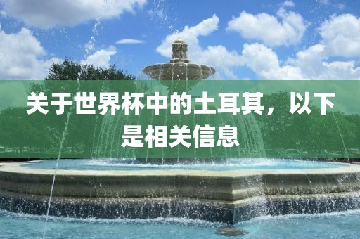 关于世界杯中的土耳其，以下是相关信息