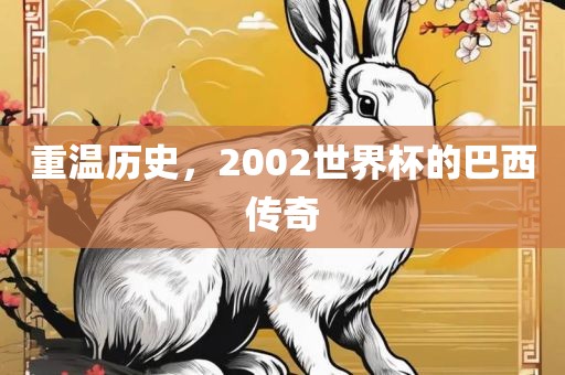 重温历史，2002世界杯的巴西传奇