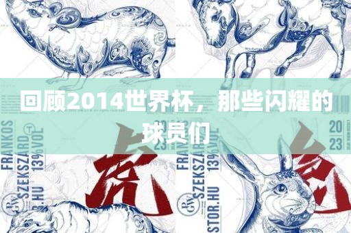 回顾2014世界杯，那些闪耀的球员们