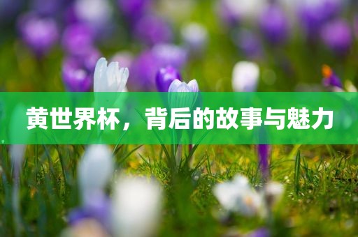 黄世界杯，背后的故事与魅力