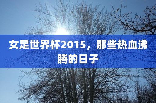 女足世界杯2015，那些热血沸腾的日子