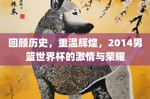 回顾历史，重温辉煌，2014男篮世界杯的激情与荣耀