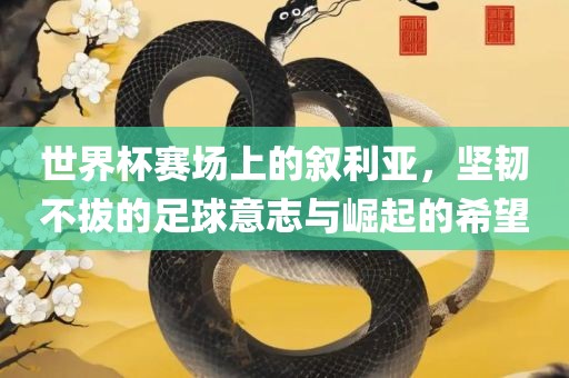 世界杯赛场上的叙利亚，坚韧不拔的足球意志与崛起的希望