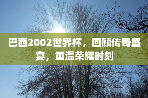 巴西2002世界杯，回顾传奇盛宴，重温荣耀时刻