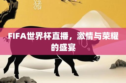 FIFA世界杯直播，激情与荣耀的盛宴