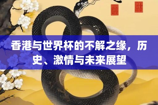 香港与世界杯的不解之缘，历史、激情与未来展望