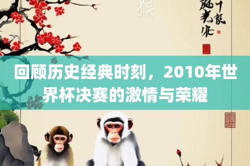 回顾历史经典时刻，2010年世界杯决赛的激情与荣耀