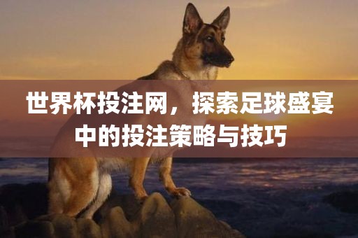世界杯投注网，探索足球盛宴中的投注策略与技巧