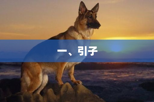 一、引子