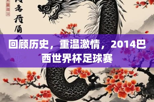 回顾历史，重温激情，2014巴西世界杯足球赛