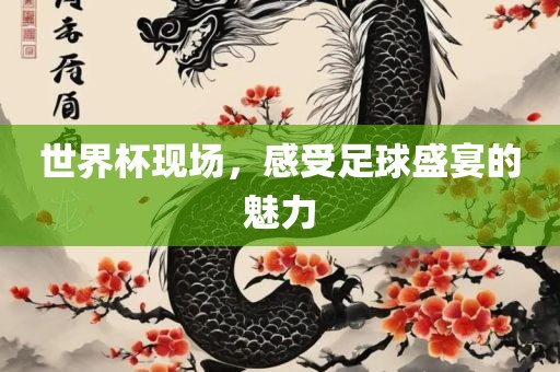 世界杯现场，感受足球盛宴的魅力