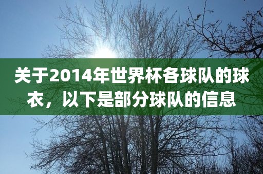 关于2014年世界杯各球队的球衣，以下是部分球队的信息