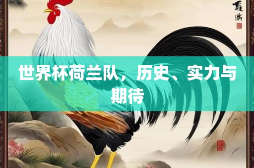 世界杯荷兰队，历史、实力与期待