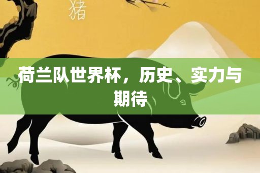 荷兰队世界杯，历史、实力与期待