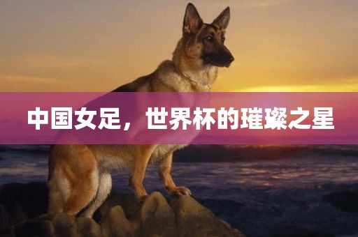 中国女足，世界杯的璀璨之星