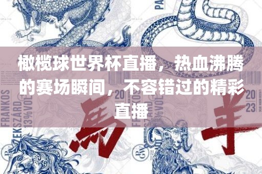 橄榄球世界杯直播，热血沸腾的赛场瞬间，不容错过的精彩直播