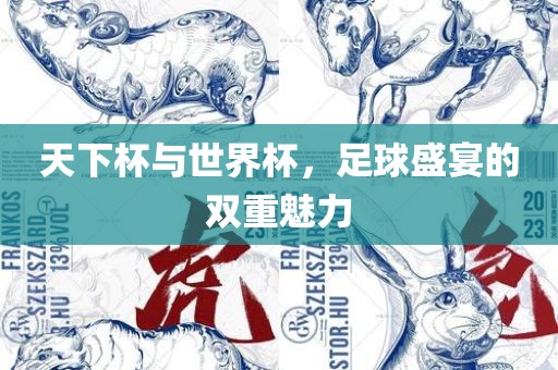 天下杯与世界杯，足球盛宴的双重魅力