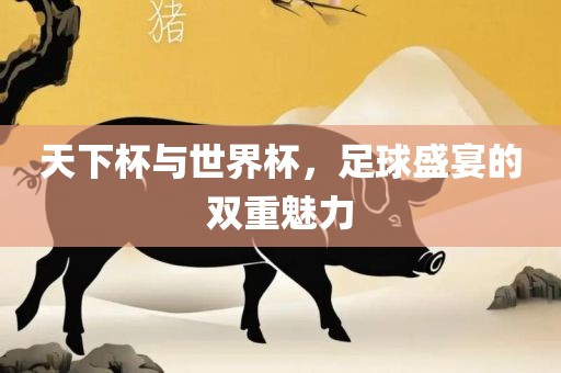 天下杯与世界杯，足球盛宴的双重魅力