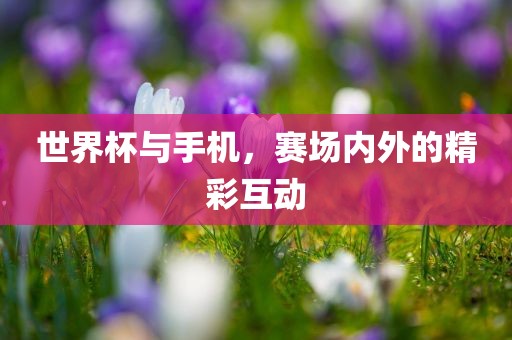 世界杯与手机，赛场内外的精彩互动