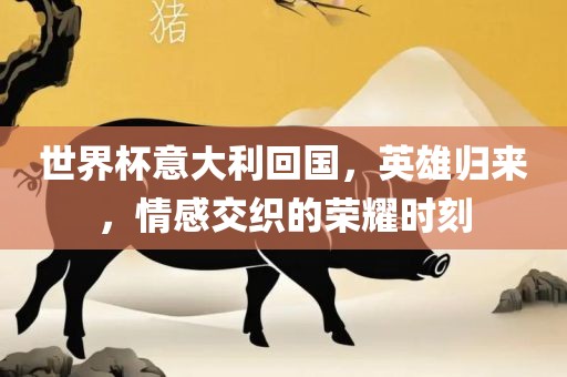 世界杯意大利回国，英雄归来，情感交织的荣耀时刻