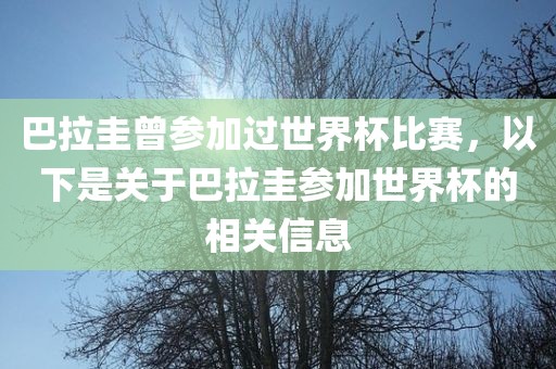 巴拉圭曾参加过世界杯比赛，以下是关于巴拉圭参加世界杯的相关信息