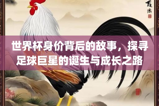 世界杯身价背后的故事，探寻足球巨星的诞生与成长之路