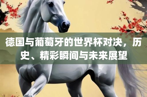 德国与葡萄牙的世界杯对决，历史、精彩瞬间与未来展望