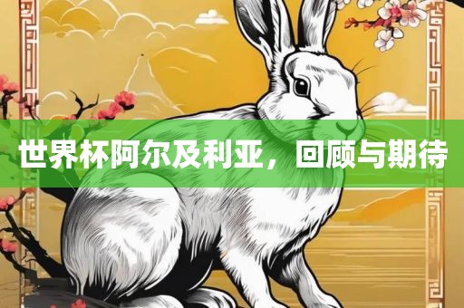 世界杯阿尔及利亚，回顾与期待