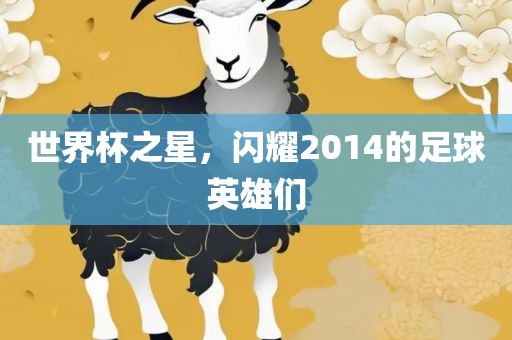 世界杯之星，闪耀2014的足球英雄们