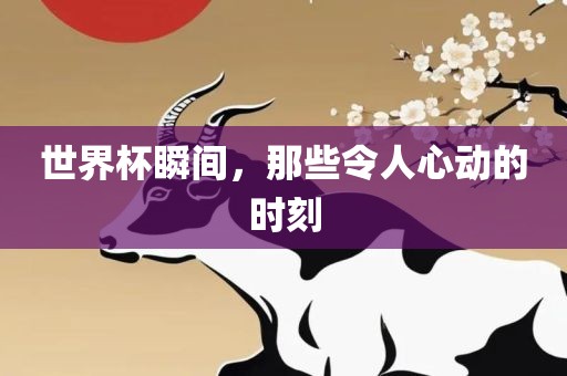 世界杯瞬间，那些令人心动的时刻