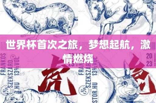 世界杯首次之旅，梦想起航，激情燃烧